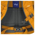 Školský batoh batoh Dash žltá