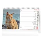 Stolový kalendár 2023 Kočky - Mačky CZ/SK