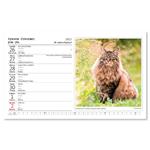 Stolový kalendár 2023 - Kočky-Mačky