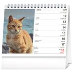 Stolový kalendár 2023 Mačky - s menami mačiek SK