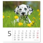Stolový kalendár 2023 - Mini Puppies
