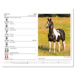 Stolový kalendár 2023 - MiniMax Koně-Kone