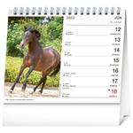 Stolový kalendár 2023 Poézia koní SK