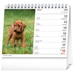 Stolový kalendár 2023 Psy - s menami psov SK