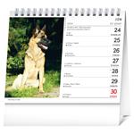 Stolní kalendář 2024 Psy - s menami psov SK