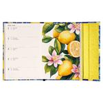 Týždenný magnetický diár 2026 B6 Citróny