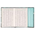 Týždenný magnetický diár 2026 B6 Monstera